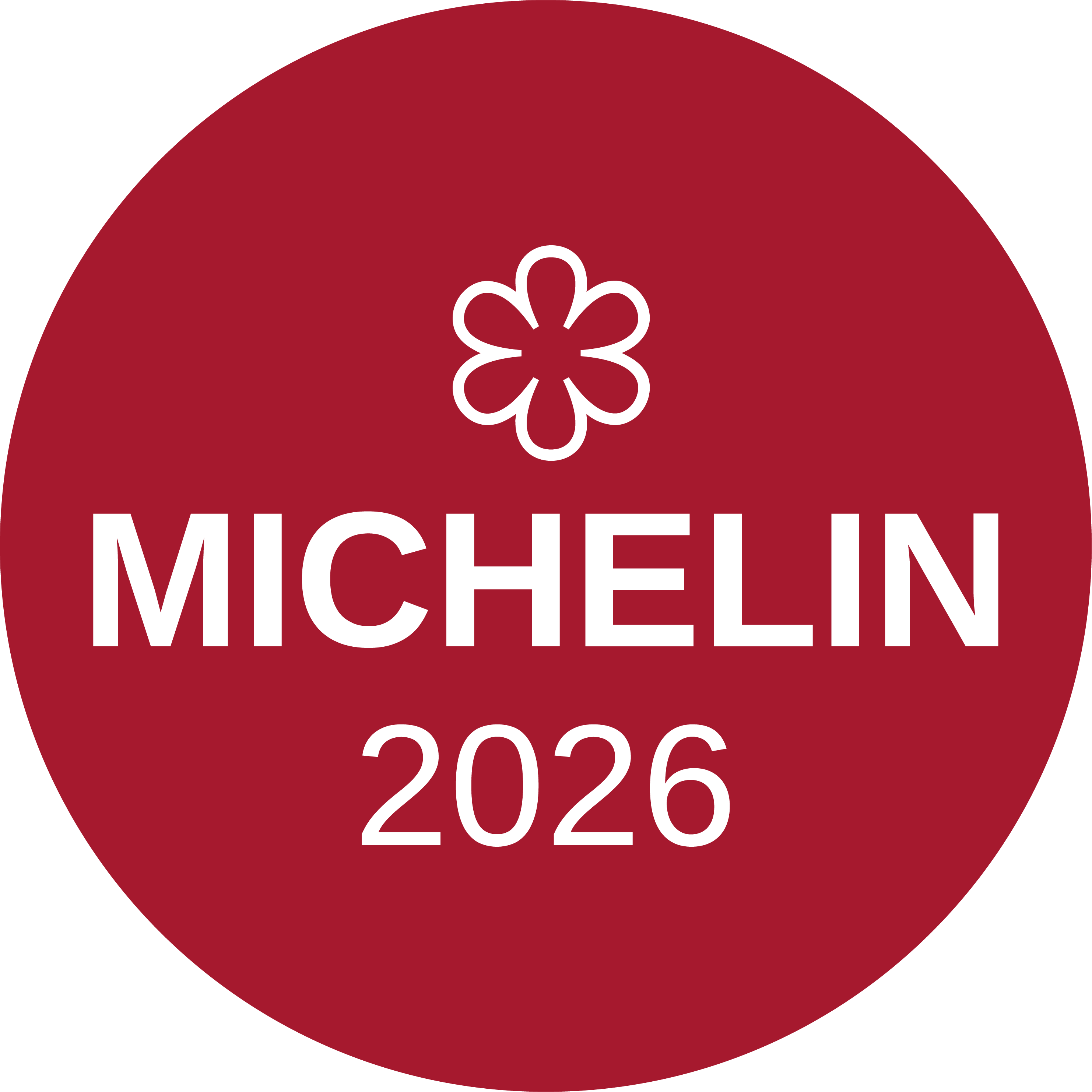 https://alpinn.it/templates/pfr/images/michelin.png
